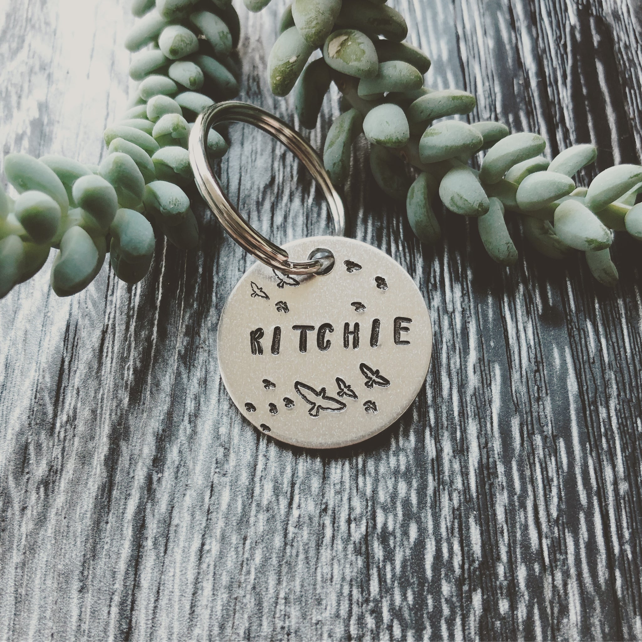 Personalized flock of birds dog ID tag